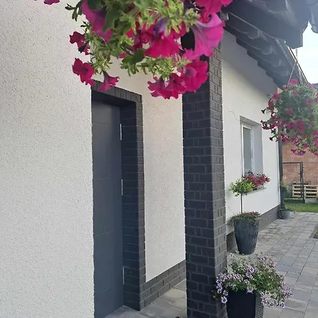 Baltyckie Klimaty Penzion Stegna (Pomerania)