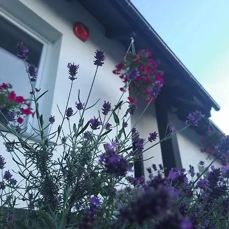 Baltyckie Klimaty 3* Stegna (Pomerania)